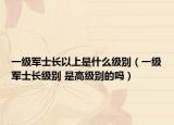 一级军士长以上是什么级别（一级军士长级别 是高级别的吗）