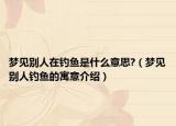 梦见别人在钓鱼是什么意思?（梦见别人钓鱼的寓意介绍）