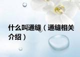 什么叫通缝（通缝相关介绍）