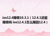 ios12.4降级10.3.1（12.4.1还能降级吗 ios12.4.1怎么降回12.4）
