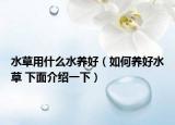 水草用什么水养好（如何养好水草 下面介绍一下）