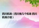 四川机场（四川有几个机场 四川机场介绍）