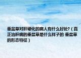 垂盆草对肝硬化的病人有什么好处?（真正治肝病的垂盆草是什么样子的 垂盆草的形态特征）