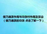 便乃通茶作用与功效付作用及禁忌（便乃通茶的功效 点击了解一下）