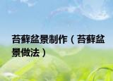 苔藓盆景制作（苔藓盆景做法）