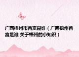 广西梧州市首富是谁（广西梧州首富是谁 关于梧州的小知识）