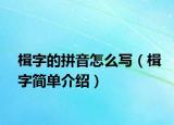 楫字的拼音怎么写（楫字简单介绍）