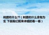 刺猬吃什么??（刺猬吃什么食物为生 下面我们就来详细的看一看）