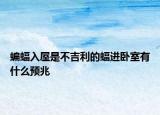 蝙蝠入屋是不吉利的蝠进卧室有什么预兆