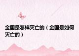 金国是怎样灭亡的（金国是如何灭亡的）