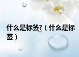 什么是标签?（什么是标签）