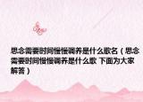 思念需要时间慢慢调养是什么歌名（思念需要时间慢慢调养是什么歌 下面为大家解答）