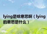 lying是啥意思啊（lying的意思是什么）