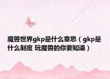 魔兽世界gkp是什么意思（gkp是什么制度 玩魔兽的你要知道）