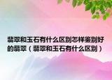 翡翠和玉石有什么区别怎样鉴别好的翡翠（翡翠和玉石有什么区别）