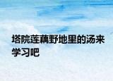 塔院莲藕野地里的汤来学习吧