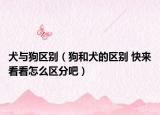 犬与狗区别（狗和犬的区别 快来看看怎么区分吧）