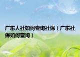 广东人社如何查询社保（广东社保如何查询）