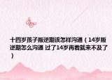 十四岁孩子叛逆期该怎样沟通（14岁叛逆期怎么沟通 过了14岁再看就来不及了）