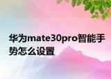 华为mate30pro智能手势怎么设置