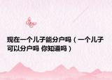 现在一个儿子能分户吗（一个儿子可以分户吗 你知道吗）