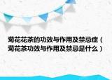 菊花花茶的功效与作用及禁忌症（菊花茶功效与作用及禁忌是什么）
