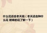 什么花适合冬天栽（冬天适合种什么花 耐寒的花了解一下）