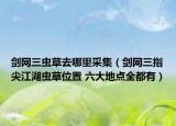 剑网三虫草去哪里采集（剑网三指尖江湖虫草位置 六大地点全都有）