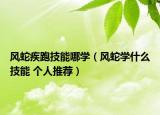 风蛇疾跑技能哪学（风蛇学什么技能 个人推荐）