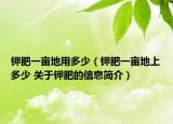 钾肥一亩地用多少（钾肥一亩地上多少 关于钾肥的信息简介）
