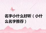名字小什么好听（小什么名字推荐）