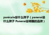panicale是什么牌子（panerai是什么牌子 Panerai是哪国的品牌）