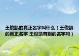 王俊凯的真正名字叫什么（王俊凯的真正名字 王俊凯有别的名字吗）