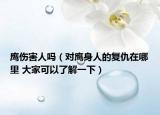 鹰伤害人吗（对鹰身人的复仇在哪里 大家可以了解一下）