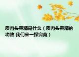 质肉头黄精是什么（质肉头黄精的功效 我们来一探究竟）