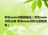 华为mate30啥时候出（华为mate30怎么样 华为mate30什么时候发布）