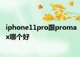 iphone11pro跟promax哪个好