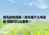 杨先的电视剧（杨先是什么电视剧 假期可以去看看）