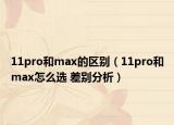 11pro和max的区别（11pro和max怎么选 差别分析）