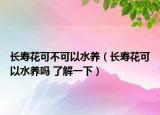 长寿花可不可以水养（长寿花可以水养吗 了解一下）