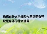 枸杞有什么功能和作用指甲有竖纹是身体的什么信号