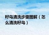 籽乌清洗步骤图解（怎么清洗籽乌）