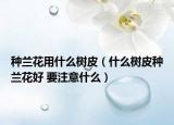种兰花用什么树皮（什么树皮种兰花好 要注意什么）