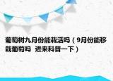 葡萄树九月份能栽活吗（9月份能移栽葡萄吗  进来科普一下）
