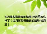 沈月英和柳录良的结局 杜月笙怎么样了（沈月英和柳录良的结局 杜月笙）