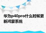 华为p40pro什么时候更新鸿蒙系统