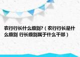 农行行长什么级别?（农行行长是什么级别 行长级别属于什么干部）