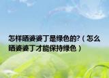 怎样晒婆婆丁是绿色的?（怎么晒婆婆丁才能保持绿色）