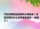 汽车空调老鼠屎尿味从哪里来（车里空调为什么会有老鼠尿味 一起看下）