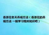 香茶花冬天养殖方法（香茶花的养殖方法 一起学习相关知识吧）
